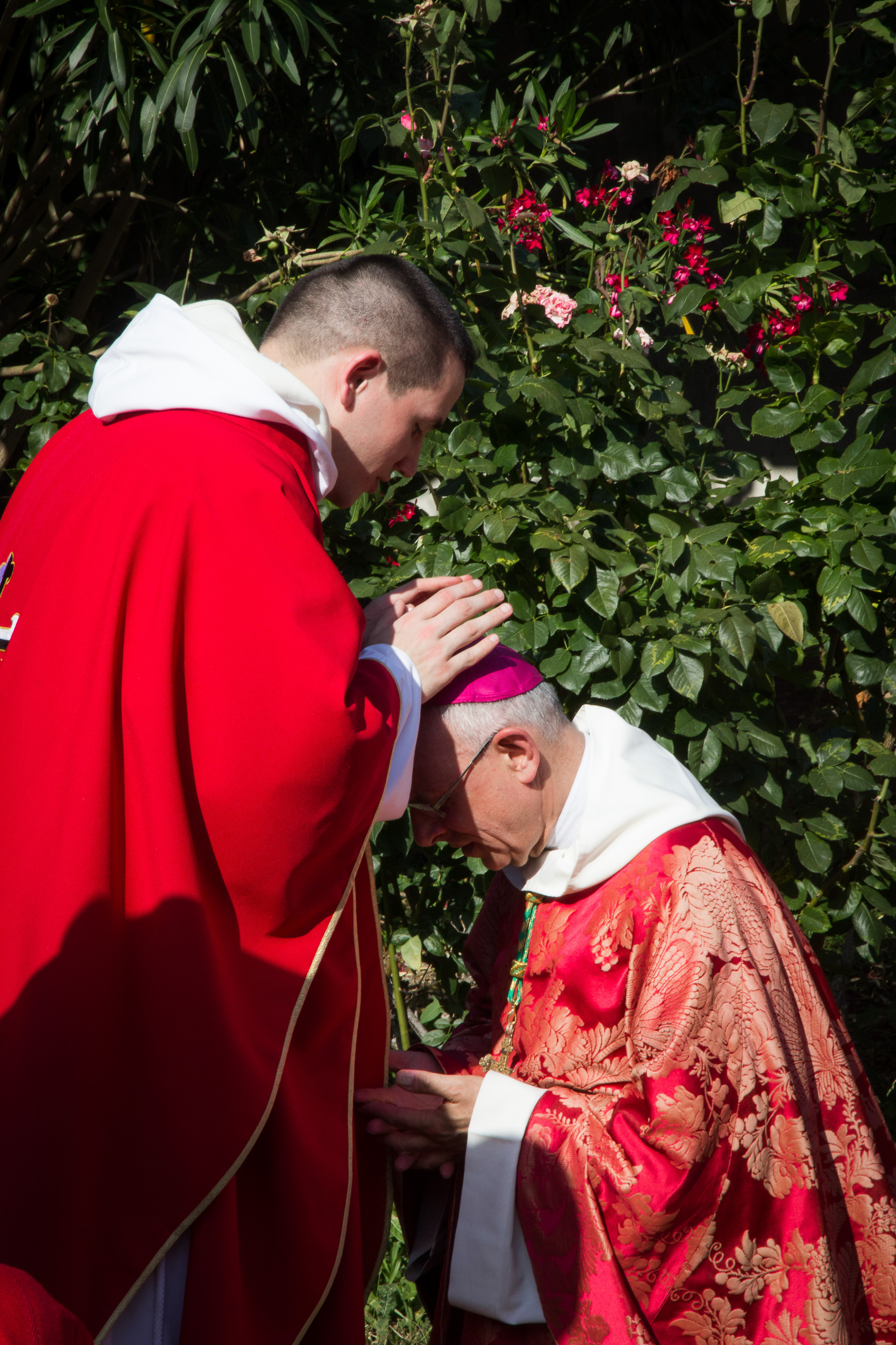 ordinations.OP.2019-186.jpg