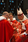 ordinations.OP.2019-155.jpg