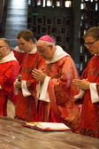 ordinations.OP.2019-84.jpg