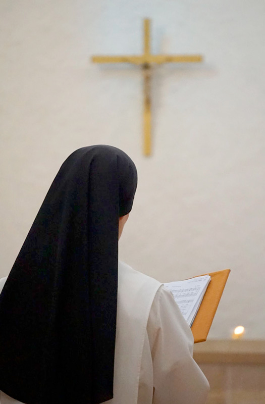 Le samedi 24 juin 2023 à 15h30, dans l'église Notre-Dame du Rosaire du couvent de Toulouse, quatre frères dominicains de la Province seront ordonnés prêtres. Que vos prières les accompagnent !